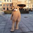 thumbnail image 5 of Disfraz de mascota oso bailarín, disfraz de cosplay, muñeco de dibujos animados, oso de peluche, divertido vestido, traje para fiesta de carnaval, espectáculos, utilería, 5 of 5