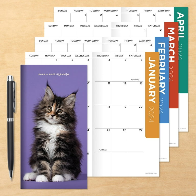  Angry Cat Pocket Planner: Angry Cat Small Pocket Appointment  Planner, with Contacts List and Password Log and More