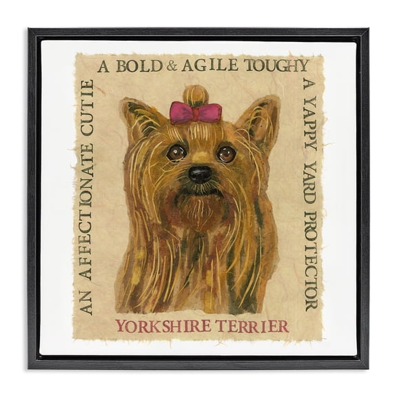 Stupell Industries Eclectic Fun Yorkshire Terrier Phrases Black Floating Frame Canvas Art, 18 x 18, by Nancy Overton
