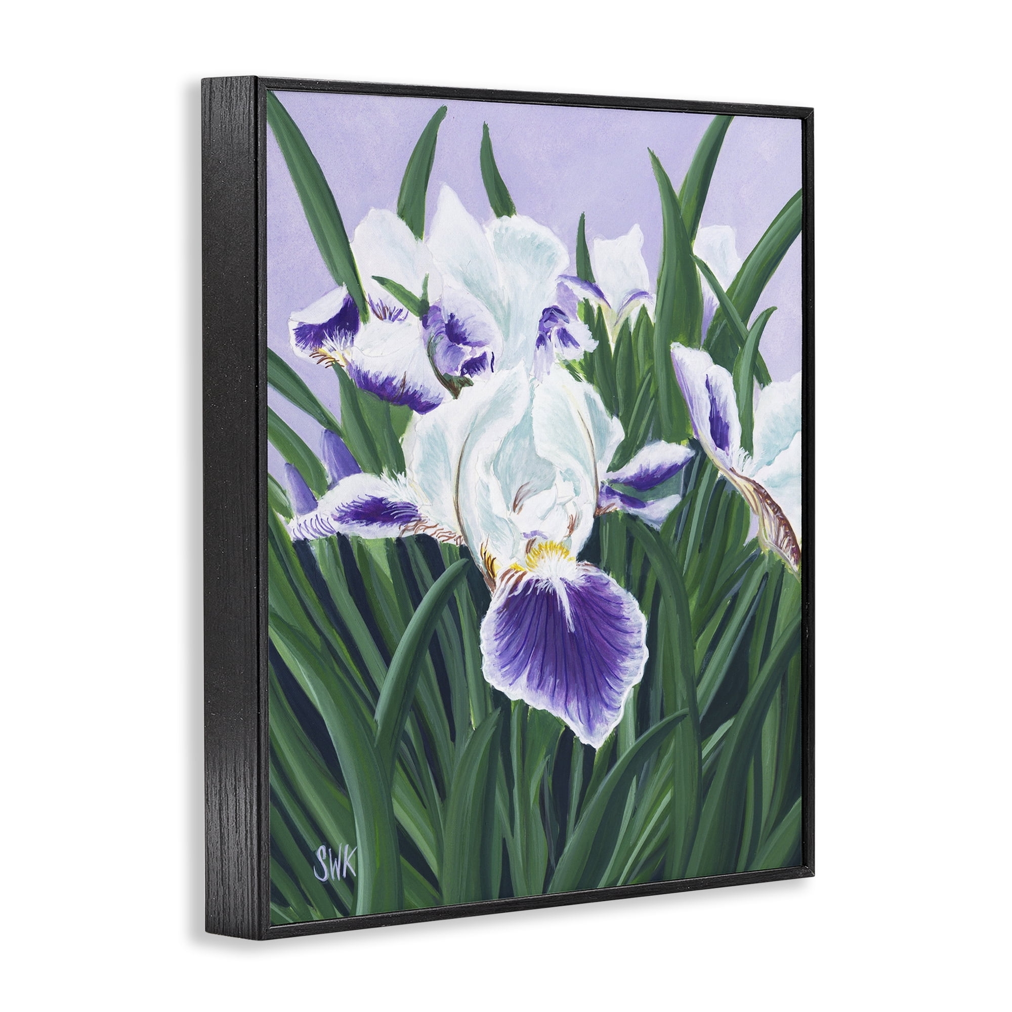 Stupell Industries Purple & White Irises Black Framed Giclee Art, design by Sarah Waldron Kimball