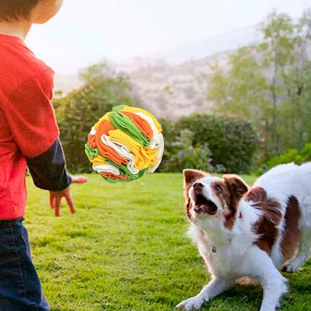 Pet Supplies : Huansihan Interactive Dog Enrichment Toy, Snuffle Ball for  Boredom Dogs and Puppy Mental Stimulation Sniffle Interactive Treat Game  for Small/Medium Dogs Puzzle Toys 