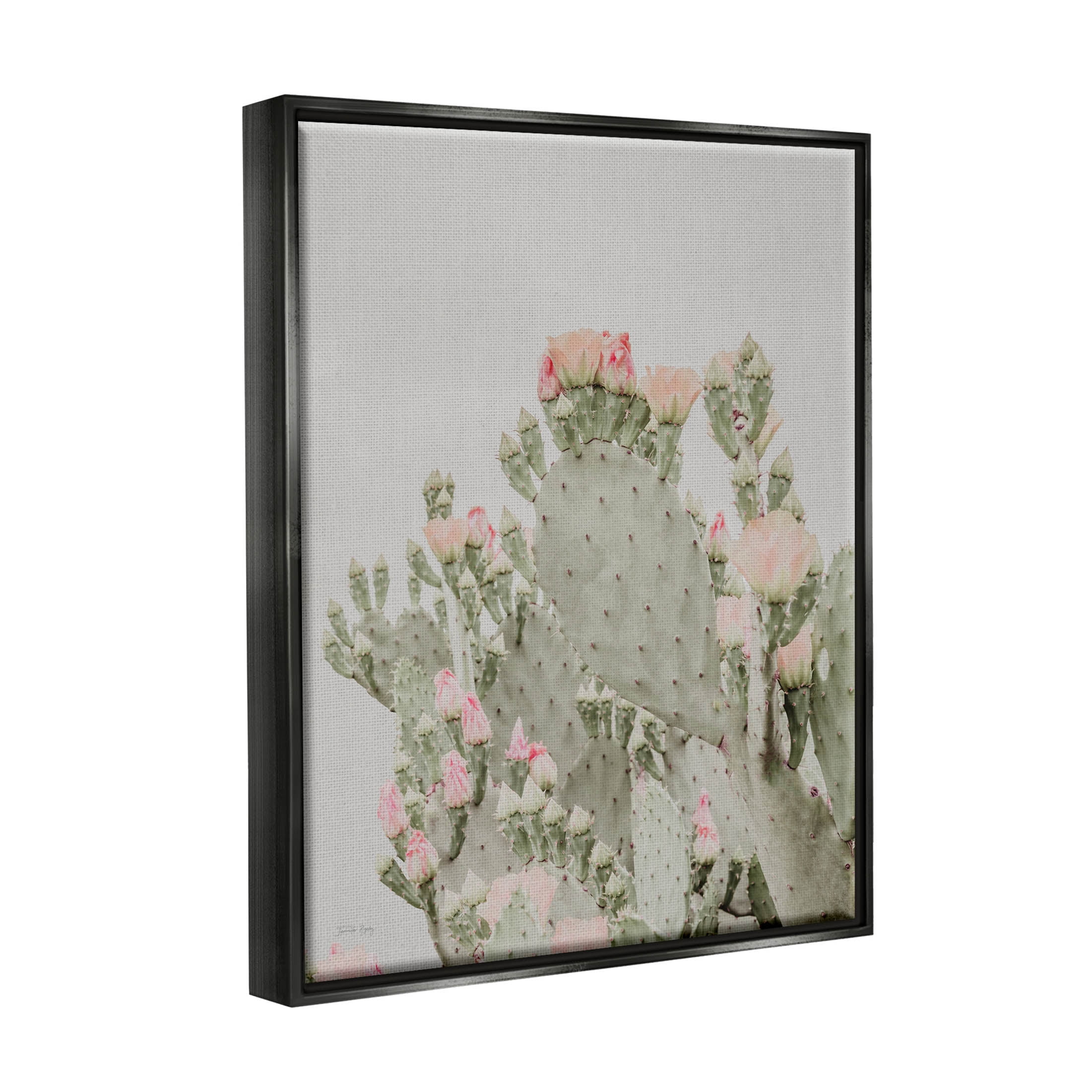 Stupell Industries Pink Cactus Blossoms Photograph Jet Black Floating Framed Canvas Print Wall Art, Design by Jennifer Rigsby
