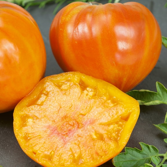 Patty's Striped Beefsteak Tomato Seeds - 0.25 Oz ~1700 Seeds - Non-GMO - Vegetable Garden - Solanum lycopersicum