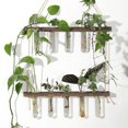 thumbnail image 5 of Tubo de ensayo de planta hidropónica de vidrio montado en la pared, 2 capas, 5 agujeros, decoración de pared, colgante de madera maciza, jarrón hidropónico montado en la pared, 5 of 5