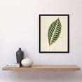 thumbnail image 4 of Vintage Botanical Tiger Plant Leaf Fawcett Framed Wall Art Print 12X16", 4 of 4