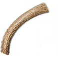 thumbnail image 3 of Large Grade A Deer Antlers for Dogs, Naturally Shed Deer Antlers, Organic Deer Antlers, All Natural Deer Antler Chews, Naturally Shed in The USA - Deer Antlers for Dogs (Size: Large) CZ Grain, 3 of 4