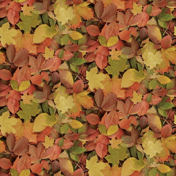 Windham Fabrics Landscape Autumn Splendor Multicolor 100% Cotton Sold by The Yard