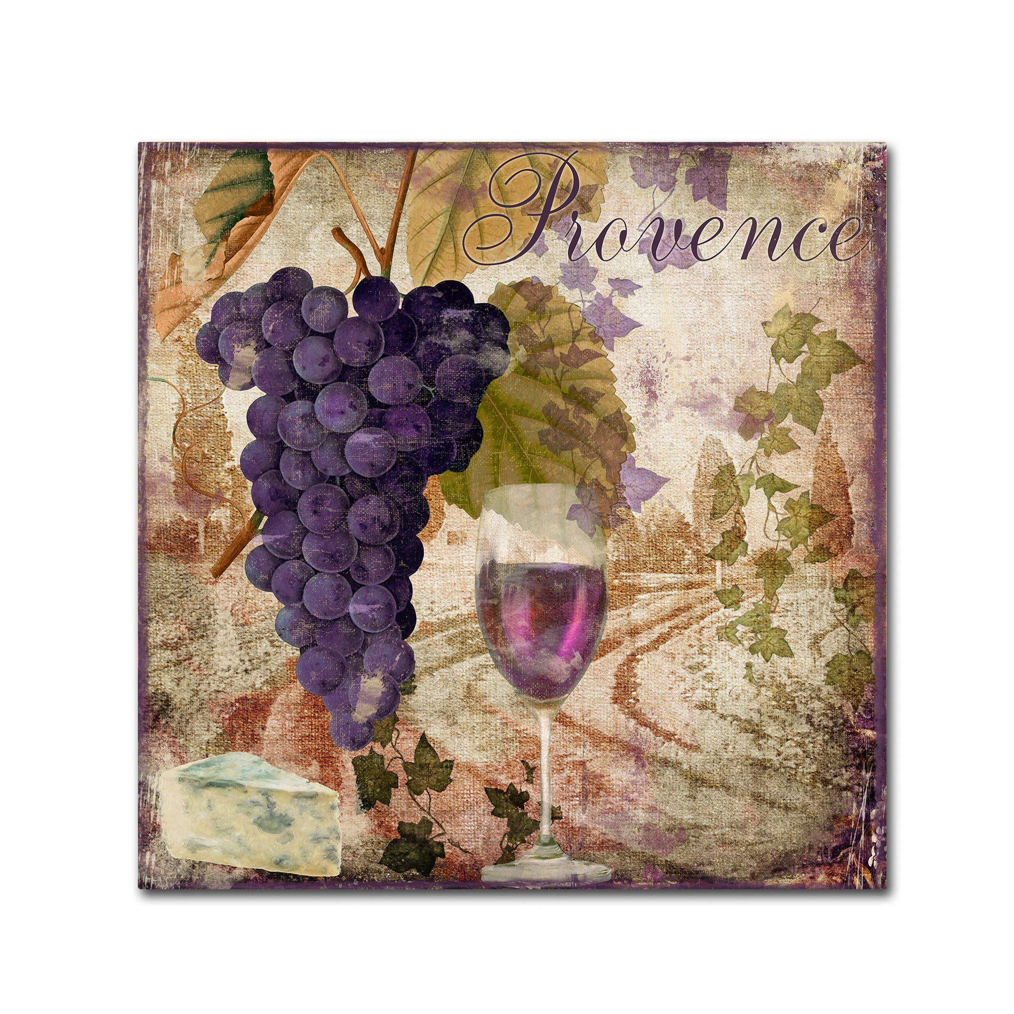 Trademark Fine Art "Wine Country III" Canvas Art by Color Bakery