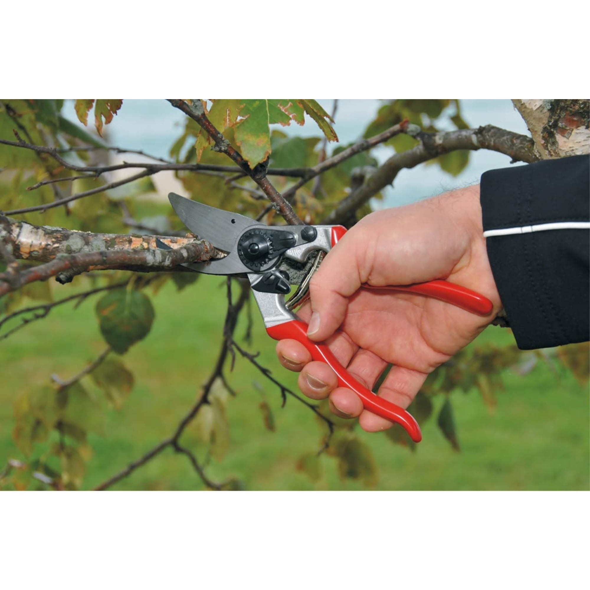 Felco F-8 Pruner ComfortErgonomic Design