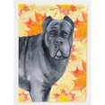 thumbnail image 1 of Carolines Treasures BB9955CHF Cane Corso Fall Flag - Canvas House Size, 1 of 4