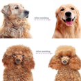 thumbnail image 3 of Hair Removal Comb For Dogs Cat Detangler Fur Trimming Deshedting Deshedding Brush Care Tool For Felted Long Hair Curly Pet, 3 of 5