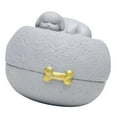 thumbnail image 1 of de cremación para perros, contenedor de cenizas para mascotas, 5.1 x 3.9 pulgadas, regalo , multiusos, impermeable, accesorios, 1 of 8