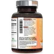 Turmeric Curcumin Supplement - 95% Curcuminoids with Organic Turmeric & BioPerine Black Pepper for Best Absorption - Daily Joint & Immune Health Support, Vegan, Non-GMO, Bottled in USA - 240 Capsules