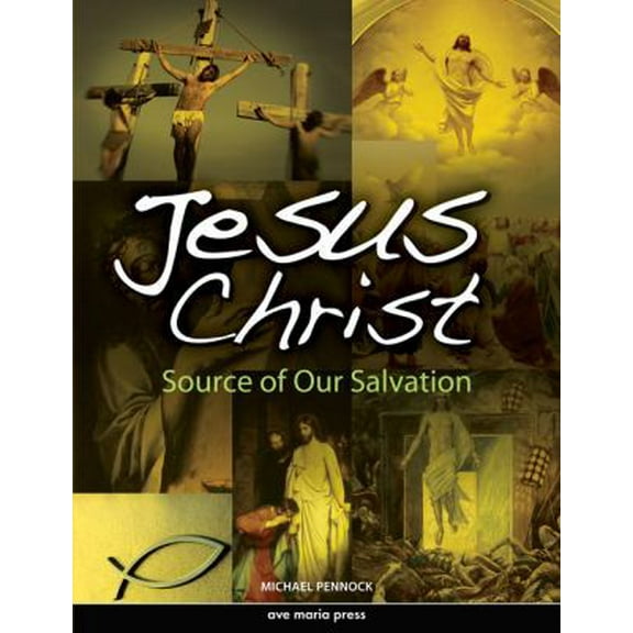 Pre-Owned Jesus Christ: Source of Our Salvation (Paperback) 1594711887 9781594711886