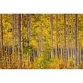 thumbnail image 3 of Gavrilis, John 14x11 Black Modern Framed Museum Art Print Titled - Independence Pass, 3 of 5