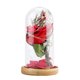 thumbnail image 1 of Luz LED con cúpula de cristal con forma de rosa encantada con acento romántico de alambre de cobre para el hogar, decoración nocturna, regalo perfecto para amantes y amigos, 1 of 8