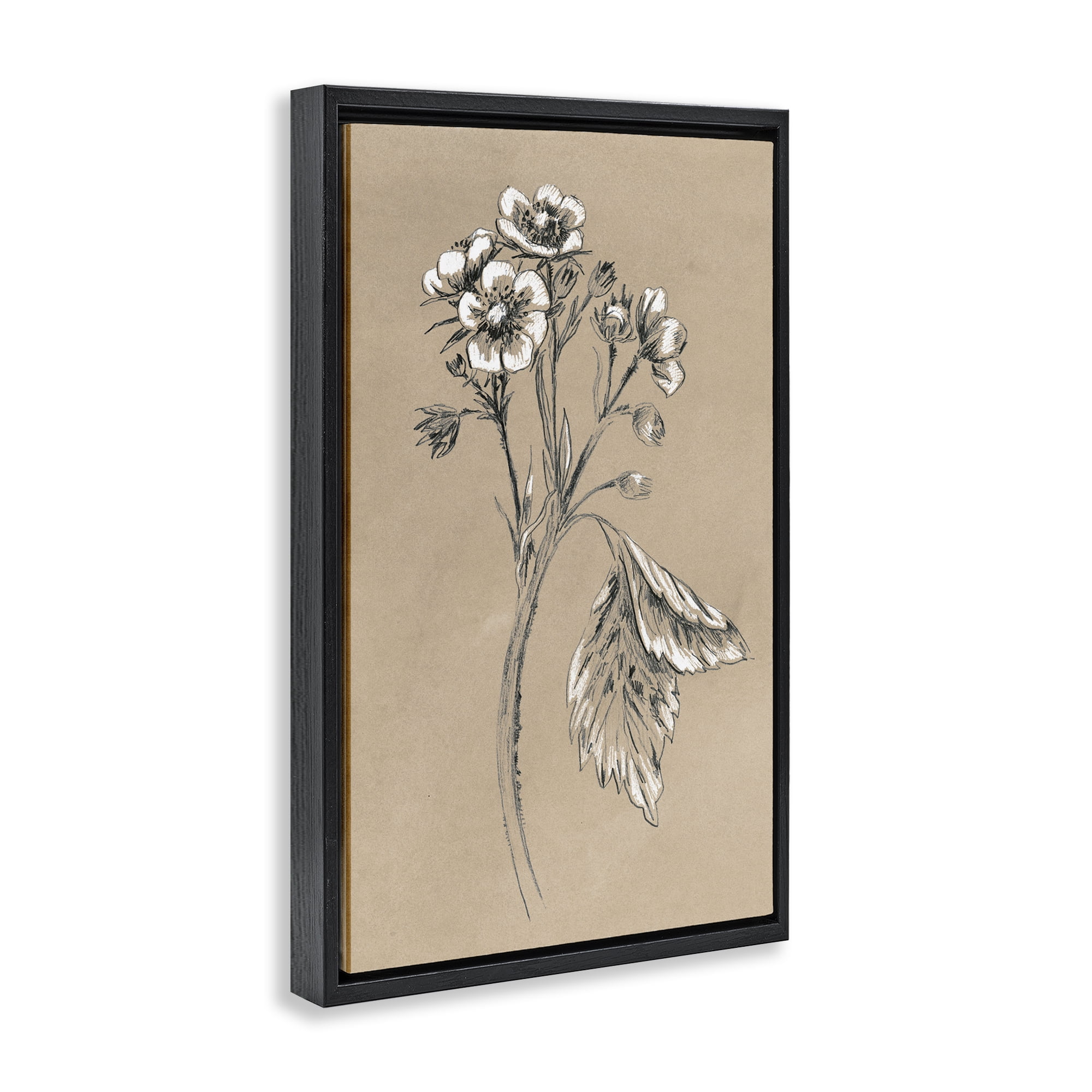 Stupell Industries Flower Sprig Sketch Botanical & Floral Drawing Black Floater Framed Art Print Wall Art, 21 x 31