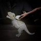 thumbnail image 4 of Adorno de dinosaurio solar para jardín | Modelo de dinosaurio de resina con luces LED para decorar el patio y el césped | Figura de dinosaurio resistente a la intemperie, 4 of 5