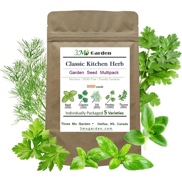 GSDWIUEW Classic Kitchen Herb Kit, 5 Heirloom Seed Varieties, Basil, Cilantro, Dill, Parsley, Thyme, for Containers, Windowsills Indoor and Outdoor Planting Three Mo Garden