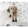thumbnail image 7 of Minzimin Dog Shoes for Small Dogs, Anti-Slip Dogs Boots & Paw Protector for Winter Snowy Day, Summer Hot Pavement Dog Booties with Reflective Straps, Cat Dog Shoe for Indoor Hardfloors, 7 of 7