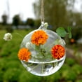 thumbnail image 5 of Contenedor de terrario, maceta de flores, cristal colgante para plantas hidropónicas, decoración del jardín del hogar XBTCLXEBCO terrario colgante, bola de bruja, mini linterna, 5 of 5
