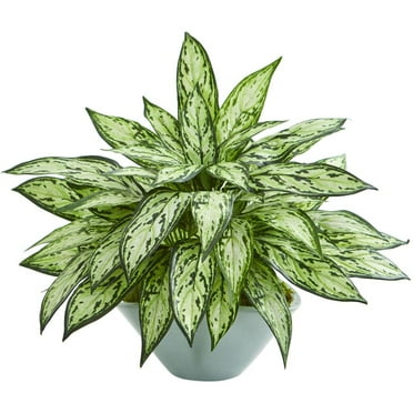 Nearly Natural Silver Queen Artificial Plant in Green Vase