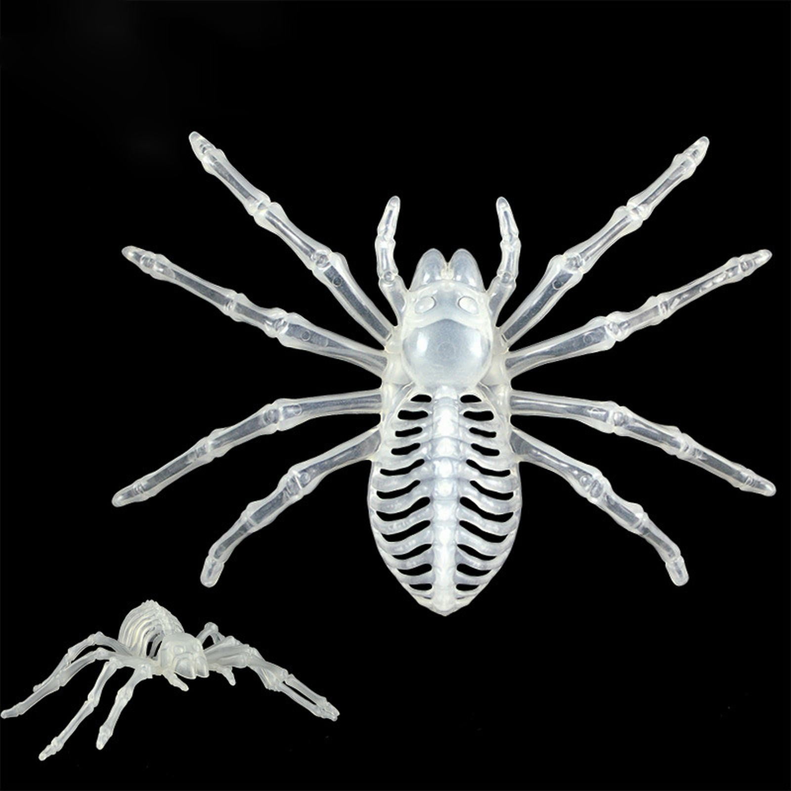 Keusn Tricky Funny Animal Model Skeleton Skeleton Spidermodel Secret keusn-tricky-funny-animal-model-skeleton-skeleton-spidermodel-secret