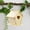 B, variant on DIY Wooden Bird House Craft Kit Hand Painted Birdhouse Assembly Kit Kids Educational Art Project Creative Building Set Safe Puzzle Style Bird Home Decoration Craft Kit Gift for Children