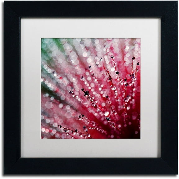 Trademark Fine Art "Pink Melody" Canvas Art by Beata Czyzowska Young, White Matte, Black Frame