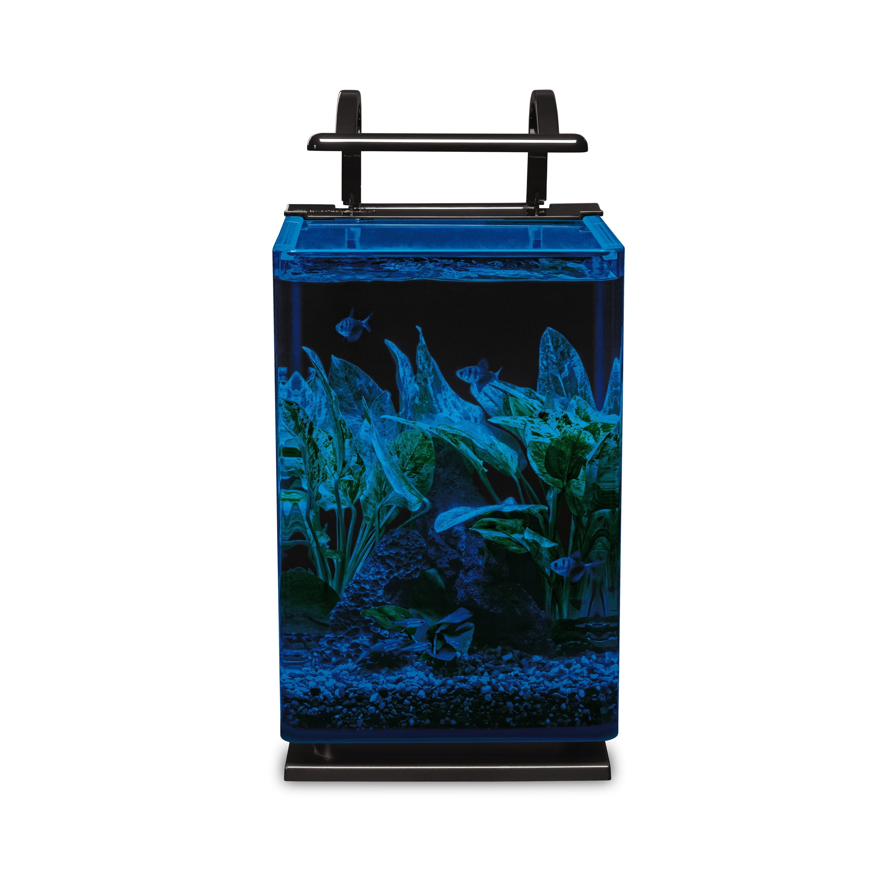 marineland contour glass aquarium
