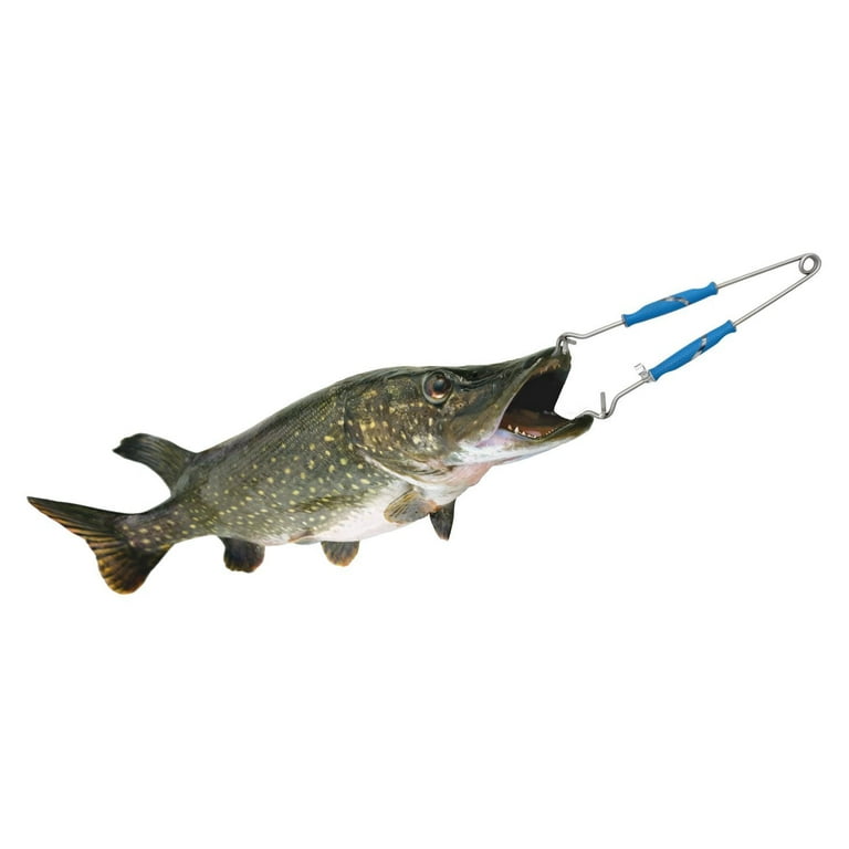 Cuda 13 Stainless Steel Freshwater Jaw Spreader, for Fishing, Blue,  1-Count 