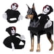 thumbnail image 1 of Disfraz de caballero de Halloween para perros gato, disfraz de mascota de Halloween, Halloween, 1 of 5