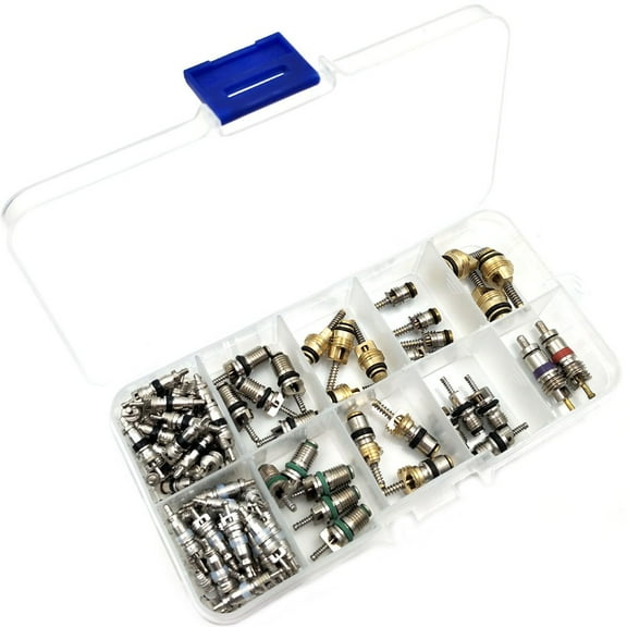Nikauto R134 R12 Valve core, Valve Stem Cores Refrigeration Assortment Repair Kit 100Pcs Auto Air Conditioning Part Valve Core Auto A/C Valve Code