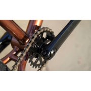 Elite BMX Bicycle 20” Freestyle Bike - Stealth Copper Ideal for Ages 7 to 18 Years