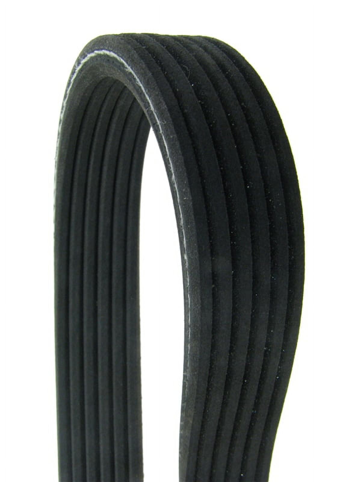 Cinghia Poly-V Continental CTAM 5PK785: Cinghia Striscia Per Auto Di Alta Qualità - 2