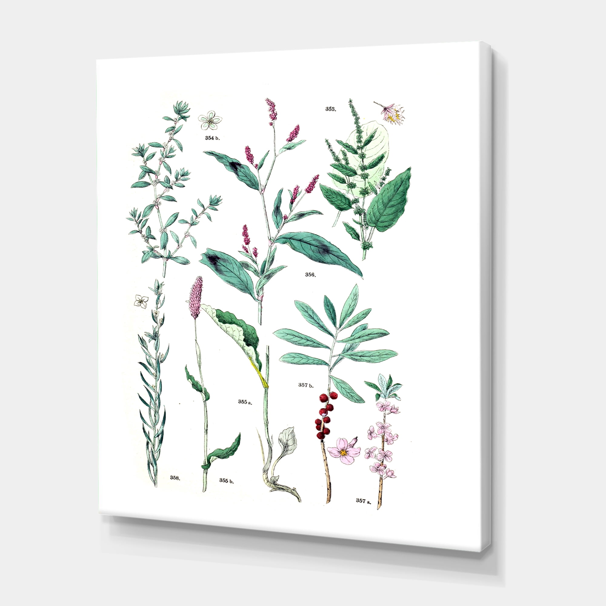 Designart ' Ancient Plants ' Traditional Canvas Wall Art Print