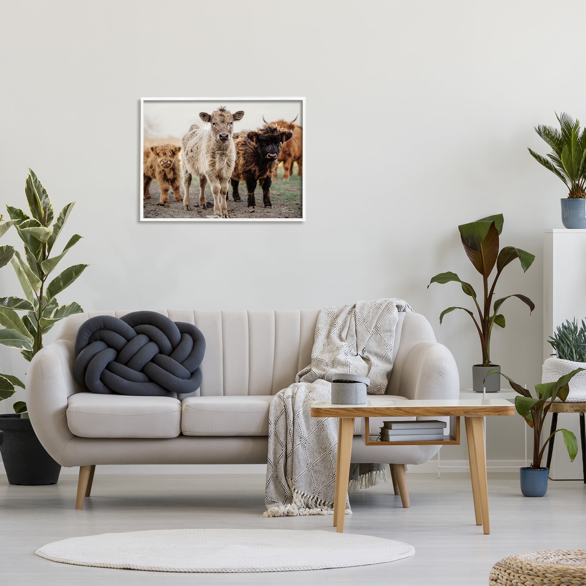Stupell Industries Baby Calves on Farm Animals & Insects Photography White Framed Art Print Wall Art, 30 x 24