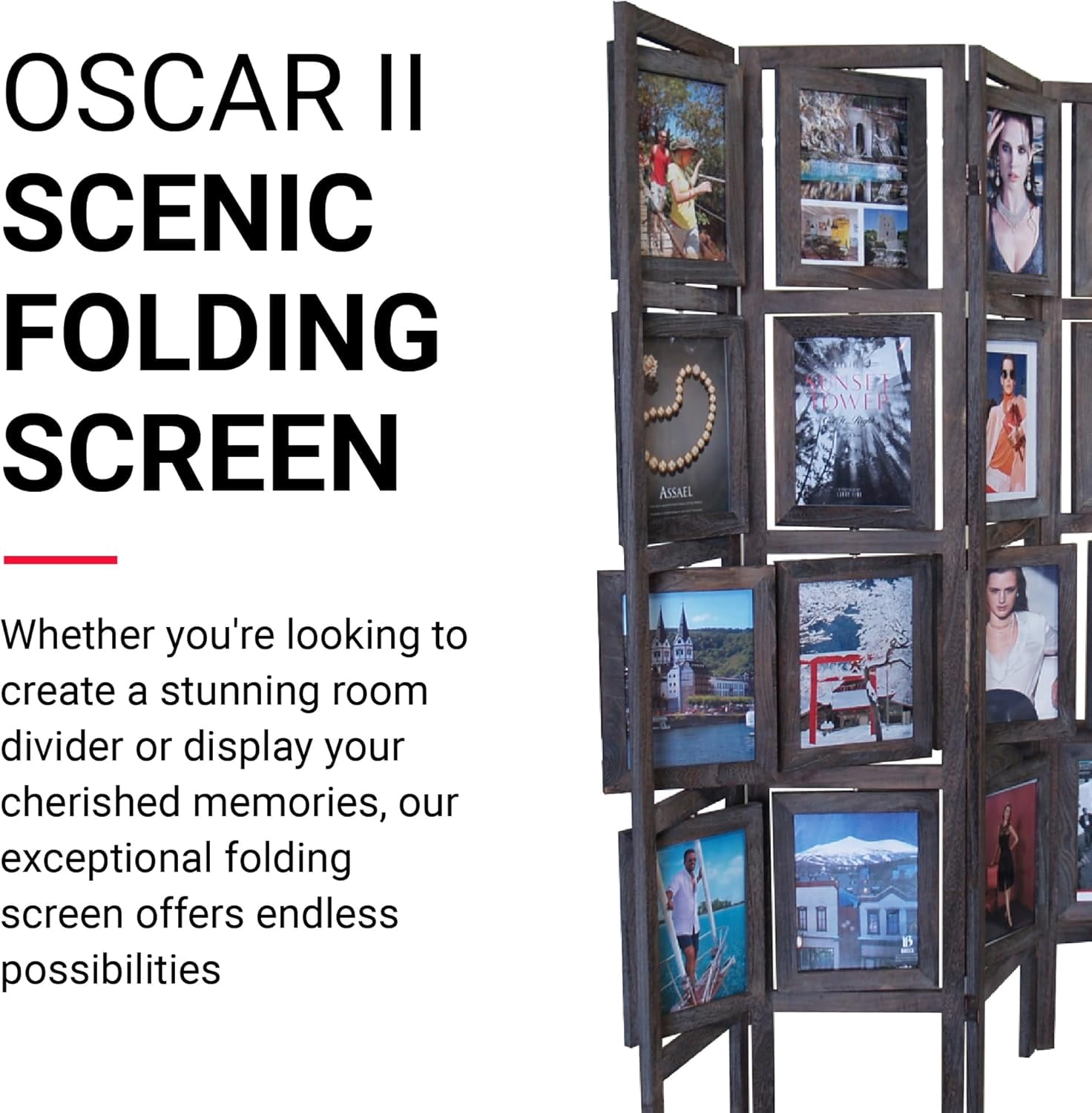 Proman Products Oscar II Picture 4 Panel Folding Screen, 67" Tall, Antique Brown