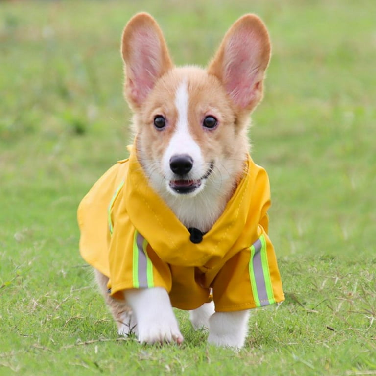 Raincoat fashion 2020 sales