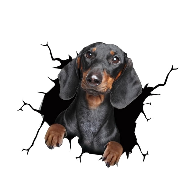 Billuyoard Adhesivo de pared 3D para perros, pegatinas para inodoro, vista de agujero, perros vivos, baño para decoración del hogar, calcomanías de Decoración del hogar dos Billuyoard HA007357-02B