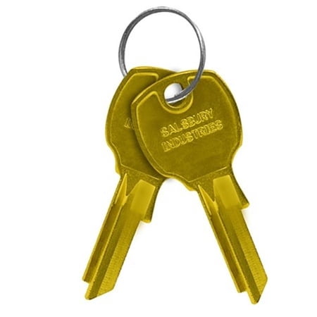 Salsbury Universal Key Blanks - Box of 50 - Silver