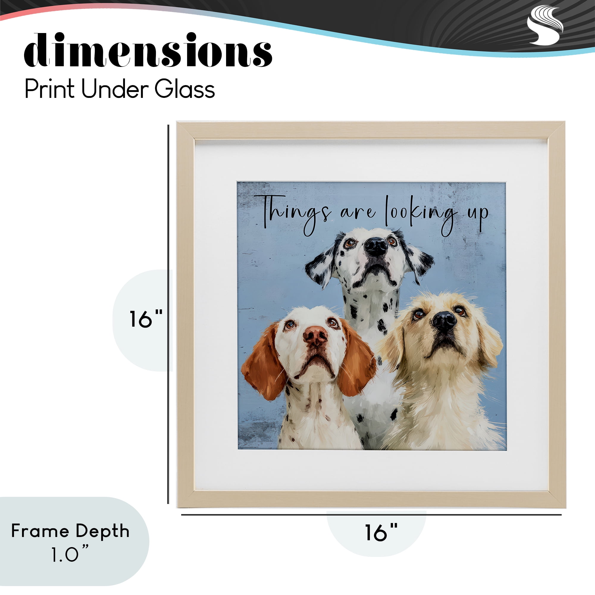 Stupell Industries Things Are Looking Up Birch Framed Print Under Glass, design by Kim Curinga