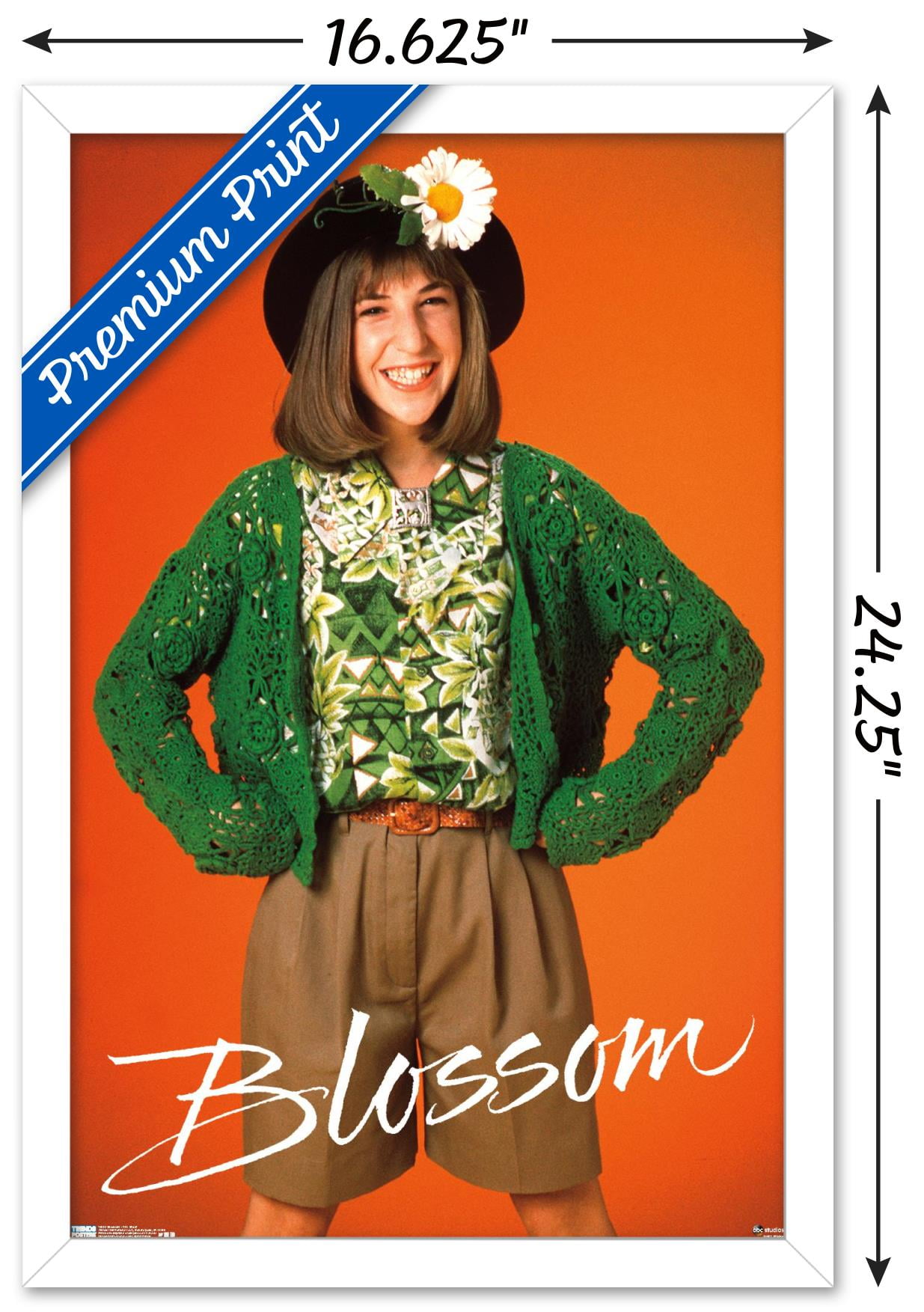 Blossom - One Sheet Wall Poster, 14.725" x 22.375", Framed