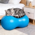thumbnail image 4 of Bookk For Fitness Rehabilitation For Small Medium Large Breed AntiBurst Exercise For Core Strengthening Training Leg Stability Durable Uninflated For Interactive Play Stimulation, 4 of 5