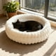 thumbnail image 5 of Cama redonda de felpa de invierno para gatos, adecuada para gatos y perros pequeños. Cama redonda y esponjosa para mascotas. Cama para mascotas cómoda, suave y cálida., 5 of 6