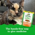 thumbnail image 6 of Greenies Feline Chicken Flavor Pill Pockets For Cats Soft Cat Treats, 3 oz Pouch (85 Count), 6 of 10
