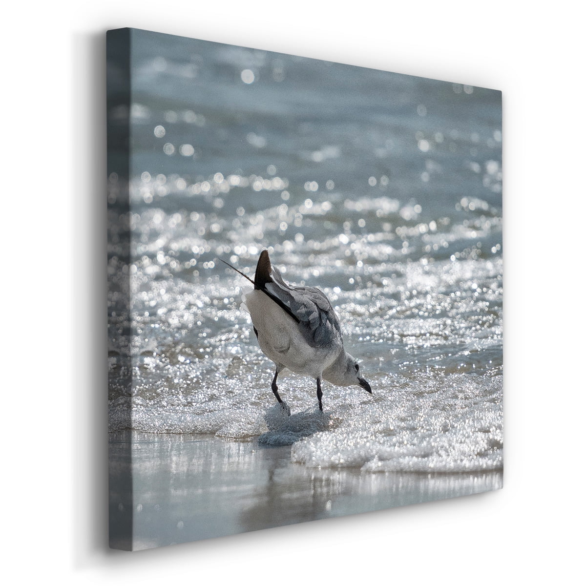 Wexford Home Bottoms Up-Premium Gallery Wrapped Canvas, 40" x 40" - Ready to Hang