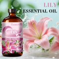 thumbnail image 2 of Aceite esencial CosmicVeil Lily 120 ml para difusor de aromas, 2 of 7