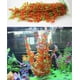thumbnail image 4 of Plantas artificiales para acuario, plantas de acuario grandes, decoraciones de plástico para peceras, paquete de 2 plantas de plástico de 20 pulgadas de alto para peceras, 4 of 5