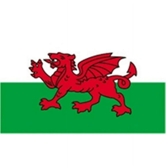 Annin Flagmakers 221111 12 x 18 in. Nylon-Glo Wales Flag